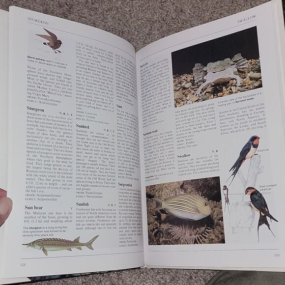 Collier's Illustrated Encyclopedia of Animals - Aardvark to Zorille + 2,000 More - Picture 10 of 14